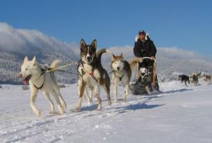 Finlandia. Husky y raquetas en Laponia