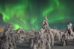 Finlandia. Trineo de perros, motonieve y raquetas. 8 días