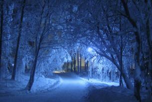 Finlandia. Esquí Nórdico por la Frontera Rusa