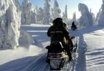 Finlandia. La Ruta del Lobo