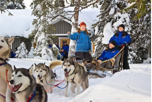 Finlandia, fin de año en Laponia: Trineo de perros, Renos y Motonieve (8 días)