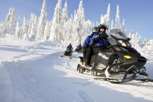 Fin de Año en Finlandia: aventura Invernal en Vuokatti