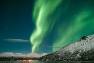 Auroras boreales y ballenas en Lofoten (Noruega) en el Puente de noviembre