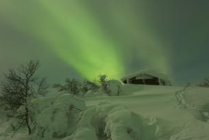 Puente de Diciembre: trineo de perros, motonieve y raquetas en Laponia 8 días