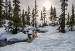 Multiaventura y cataratas del Niágara en Canadá