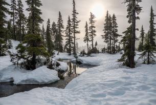 Multiaventura y cataratas del Niágara en Canadá