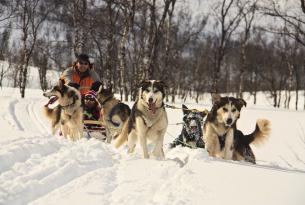 Islas Lofoten y trineo de perros en Semana Santa. Noruega y Suecia (8 días)