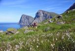 Noruega: Lofoten, Vesteralen y ballenas en primavera 8 días de abril a junio