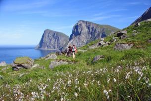 Noruega: LOFOTEN EN PRIMAVERA Y BALLENAS, ABRIL Y MAYO. ESPECIAL PUENTE DE MAYO