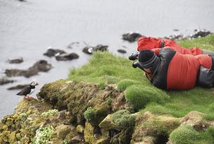 Islandia: el paraíso de las aves (observa frailecillos, álcidos, charranes y más)