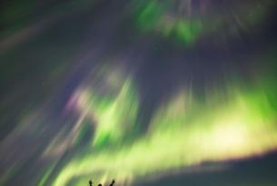 Noruega en otoño: tesoros de Lofoten, ballenas y auroras en 8 días