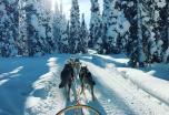 Circuito por las 3 Laponias: Gran vuelta invernal: Auroras, Cabo Norte y trineo de perros