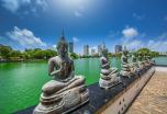 Sri Lanka Aventura: 7 días descubriendo maravillas