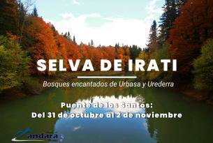 Bosques de Navarra: Selva de Irati
