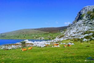 Senderismo en Asturias: Picos de Europa, Llanes, Colunga, Cares, Covadonda, Cangas de Onís