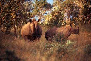 Sudáfrica: Ruta Jardín y Parque Kruger