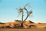Namibia : Safari Itenga