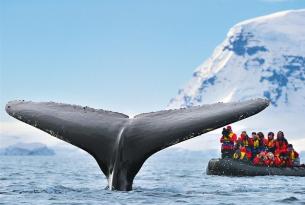 Argentina en grupo: de Norte a Sur con Iguazú, Salta, Calafate, Patagonia, Perito Moreno y más