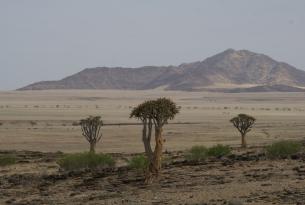 Namibia: La ruta de los desiertos