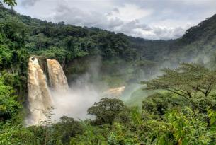 Latidos de África 2015