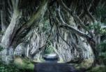 Escapada a Irlanda del Norte y sus escenarios de Juego de Tronos