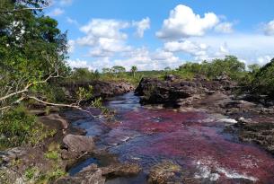 Colombia con Encanto: Bogotá, caño cristales, Pereira, Cartagena, Islas del Rosario, Barranquilla