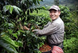 Colombia icónica: Bogota, Medellín, Cartagena y Santa Marta