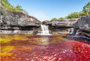 Rio de colores en Caño Cristales