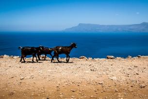Creta a tu aire: Senderismo de costa a costa