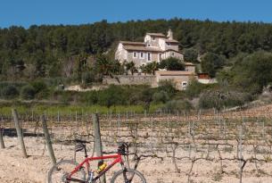 Descubriendo el Penedés, tierra de vinos, cavas y playas