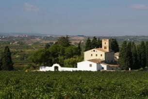 Descubriendo el Penedés Deluxe, la tierra del Cava, Vinos y playas