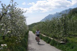 Sur del Tirol:  bicicleta y relax en Bolzano
