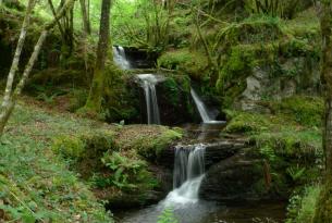 Senderismo en Galicia: Parque Nacional de las Islas Atlánticas y la Ribeira Sacra