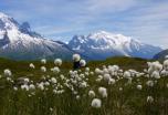 Un trekking sencillo por los miradores del Mont Blanc