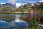 Miradores del Monte Rosa en los Alpes Suizos y Aosta (Italia)