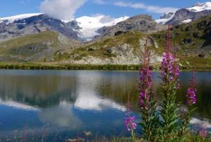 Miradores del Monte Rosa en los Alpes Suizos y Aosta (Italia)