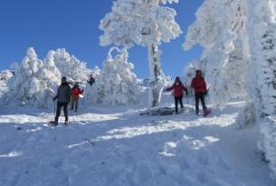 Raquetas de nieve en Benasque - salida de Reyes