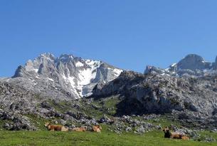 Raquetas de Nieve en Picos de Europa