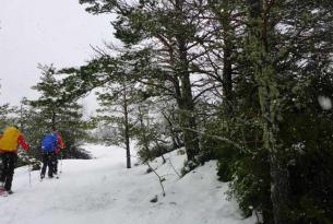 Raquetas de Nieve en Sierra Nevada