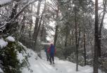 Raquetas de Nieve en Bulgaria  Macizos de Pilin y Rila