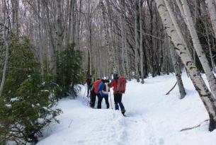 Travesía con Raquetas en el Macizo del Jura