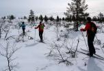 Laponia Finlandesa (Saariselka): Raquetas de nieve y Esquí de Fondo