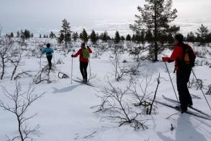Laponia Finlandesa (Saariselka): Raquetas de nieve y Esquí de Fondo