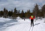 Laponia Finlandesa (Ruka): Raquetas y Esquí de Fondo