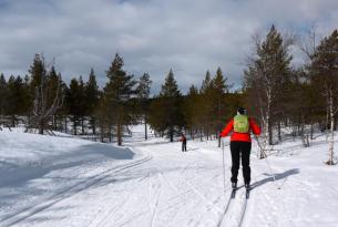 Laponia Finlandesa (Ruka): Raquetas y Esquí de Fondo