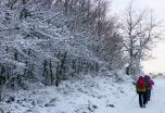 Raquetas de Nieve en Valle de Tena