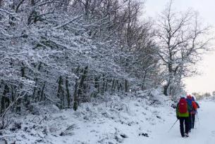 Raquetas de Nieve en Valle de Tena