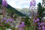 Trekking Vignemale