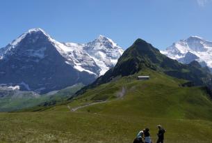 Bären Trek