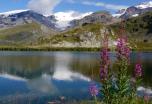 Tour Monte Rosa